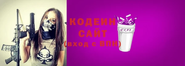 шишки Фёдоровский