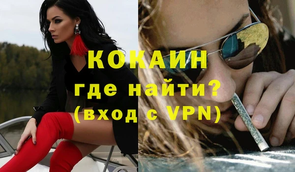 шишки Фёдоровский
