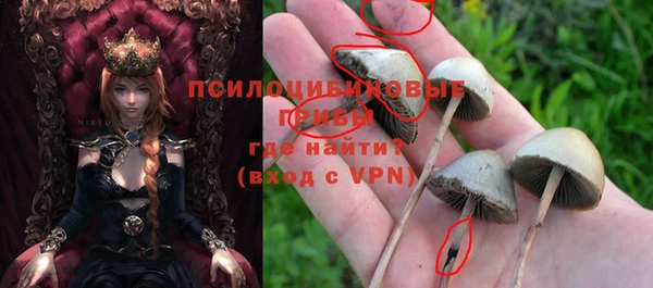 spice Баксан