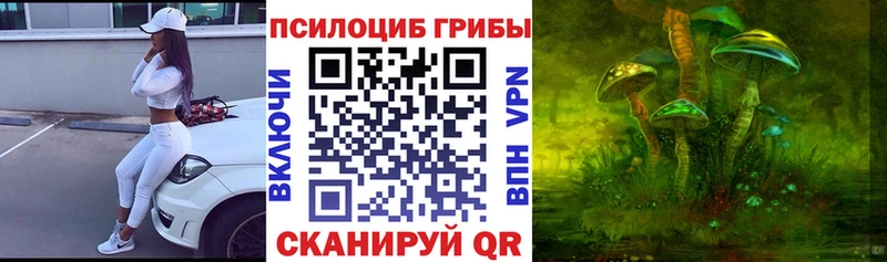 даркнет сайт Белокуриха Псилоцибиновые грибы Psilocybe